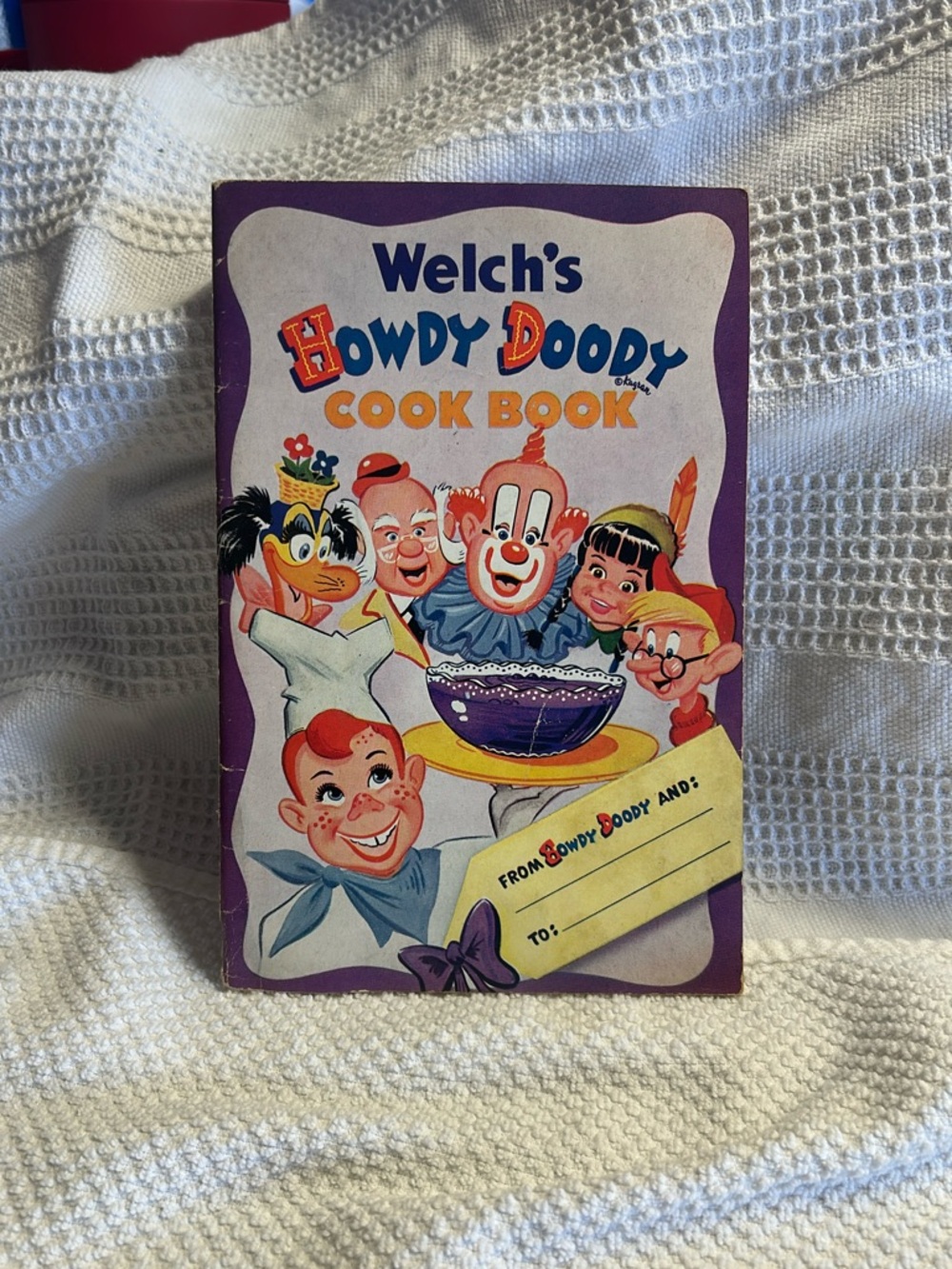 Howdy Doody Purple Cook Book